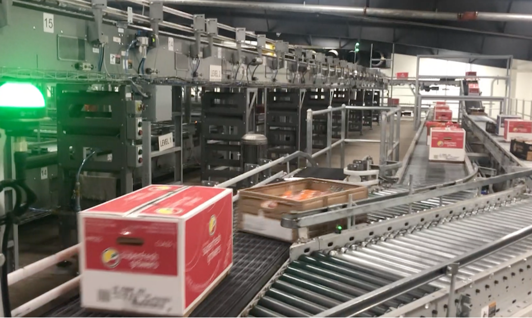 Cartons and trays on a single conveyor lane are diverted into two lanes.
