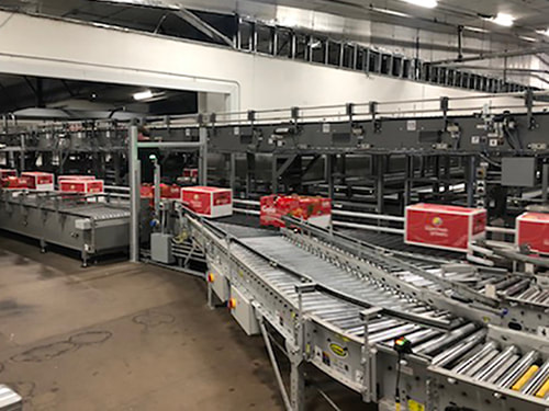 Hytrol conveyor with red cartons moving apples at high speed.